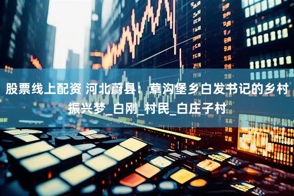 股票线上配资 河北蔚县：草沟堡乡白发书记的乡村振兴梦_白刚_村民_白庄子村
